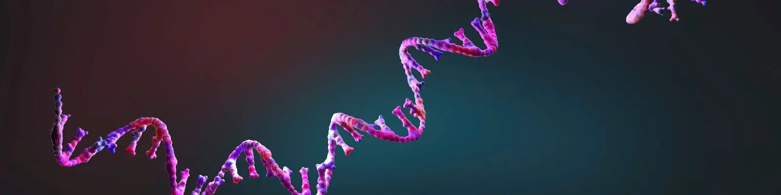 Amino Acids & Peptides