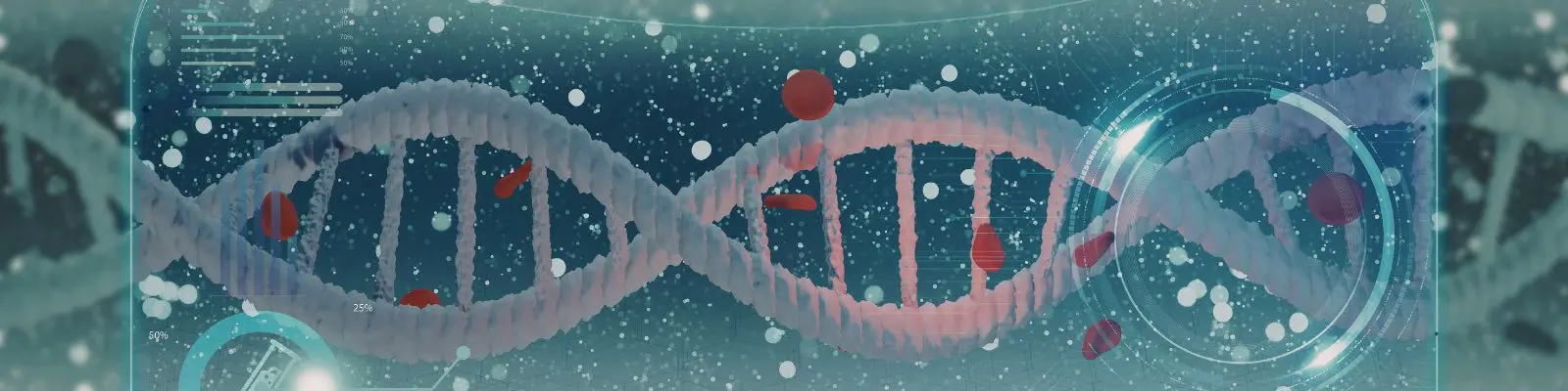 Nucleosides & Nucleotides