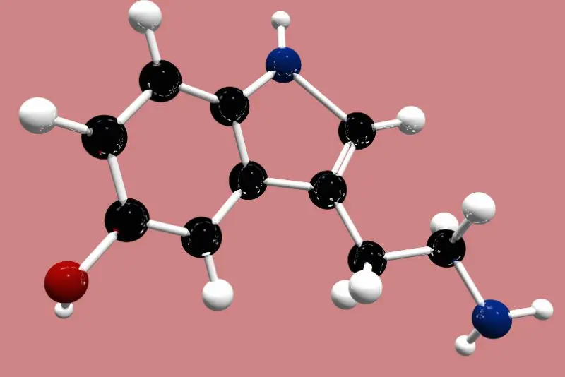 Organometallic Compounds